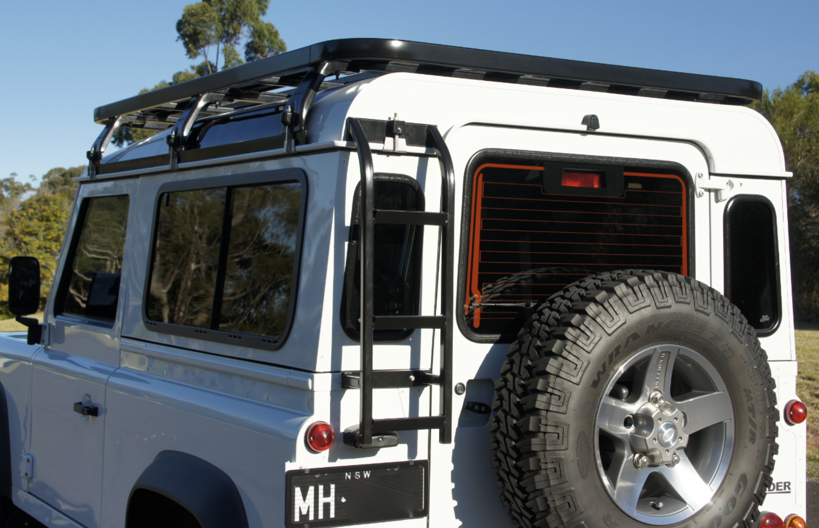 safari roof rack ladder