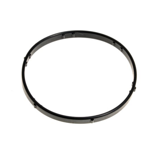 Land Rover Discovery 3/RRS O Ring Thermostat