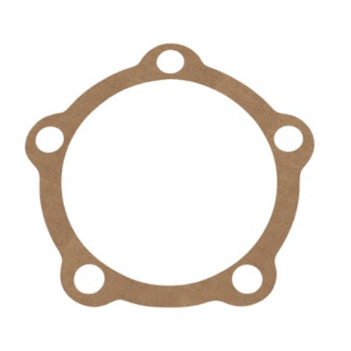 Land Rover 300 TDI/TD5 & Puma, Disco 1, RRC Axle Drive Flange Gasket 571752