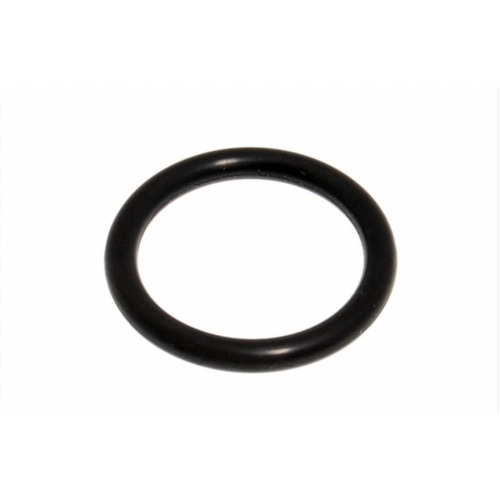 Land Rover Defender/D1/RRC Oil Pick Up O-Ring