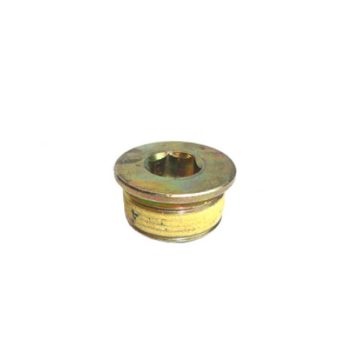 Land Rover Defender/Discovery 2 Cylinder Head Plug Genuine