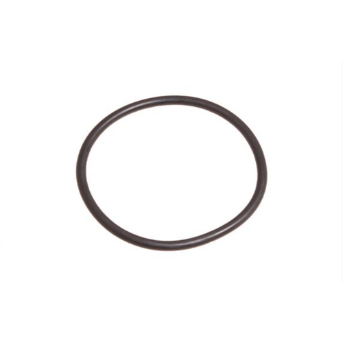 Land Rover Discovery  3/4 RRS Throttle Body Seal Front