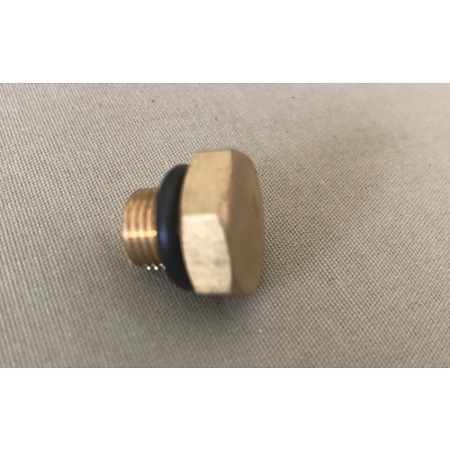 Land Rover Discovery 2 Brass Bleed Screw V8