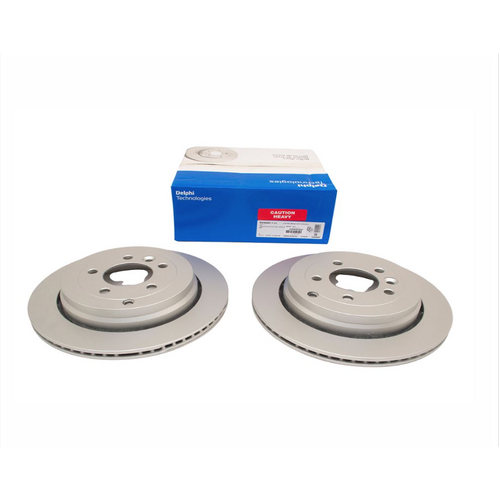 Land Rover Discovery 3-4-RRS Rear Disks X2 Delphi